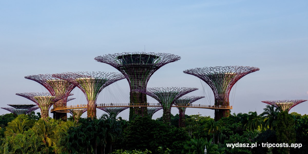 Superdrzewa Supertree Grove w ogrodach Gardens by the Bay w Singapurze